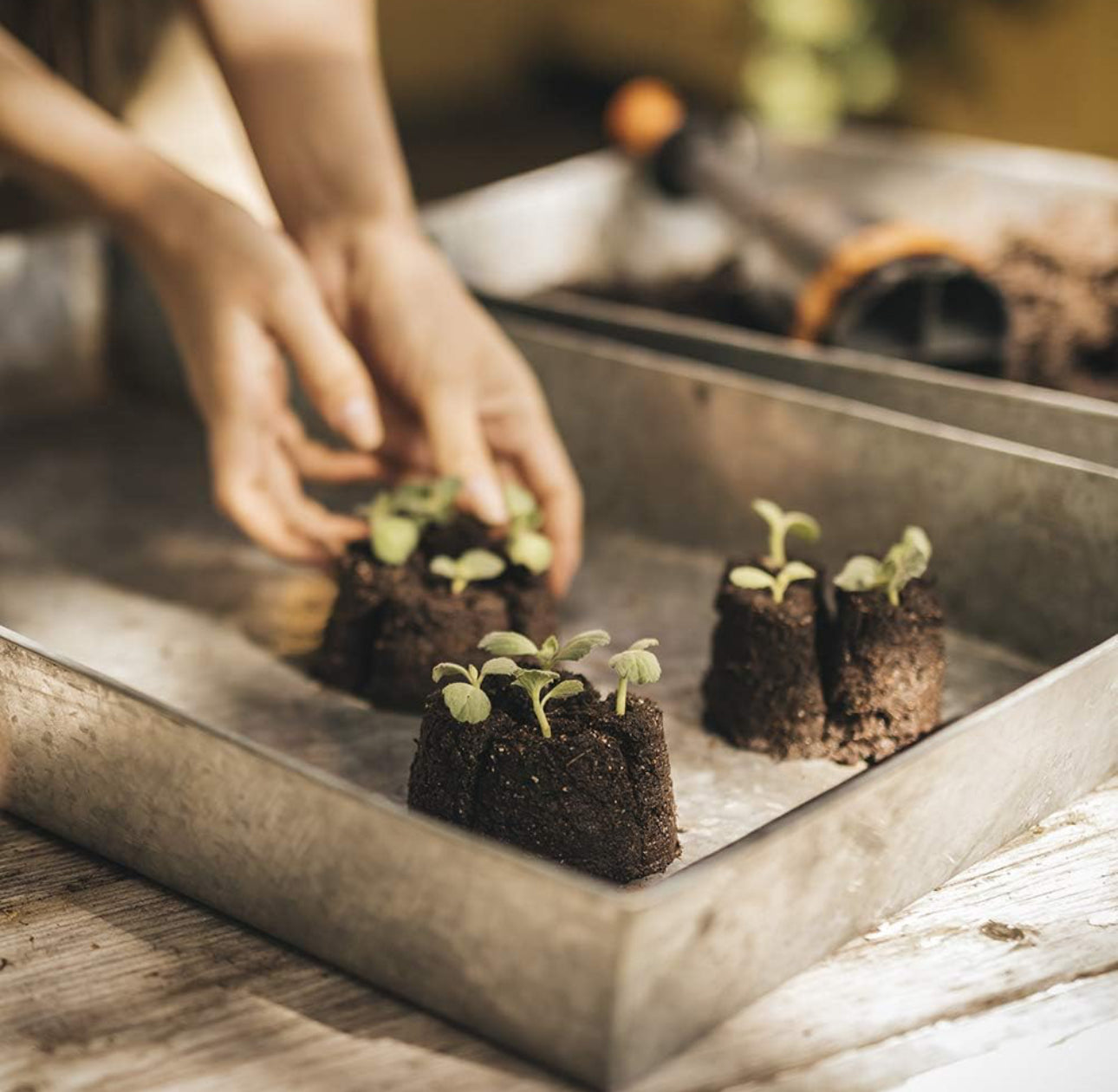 Fiskars Soil Block Maker for Gardening