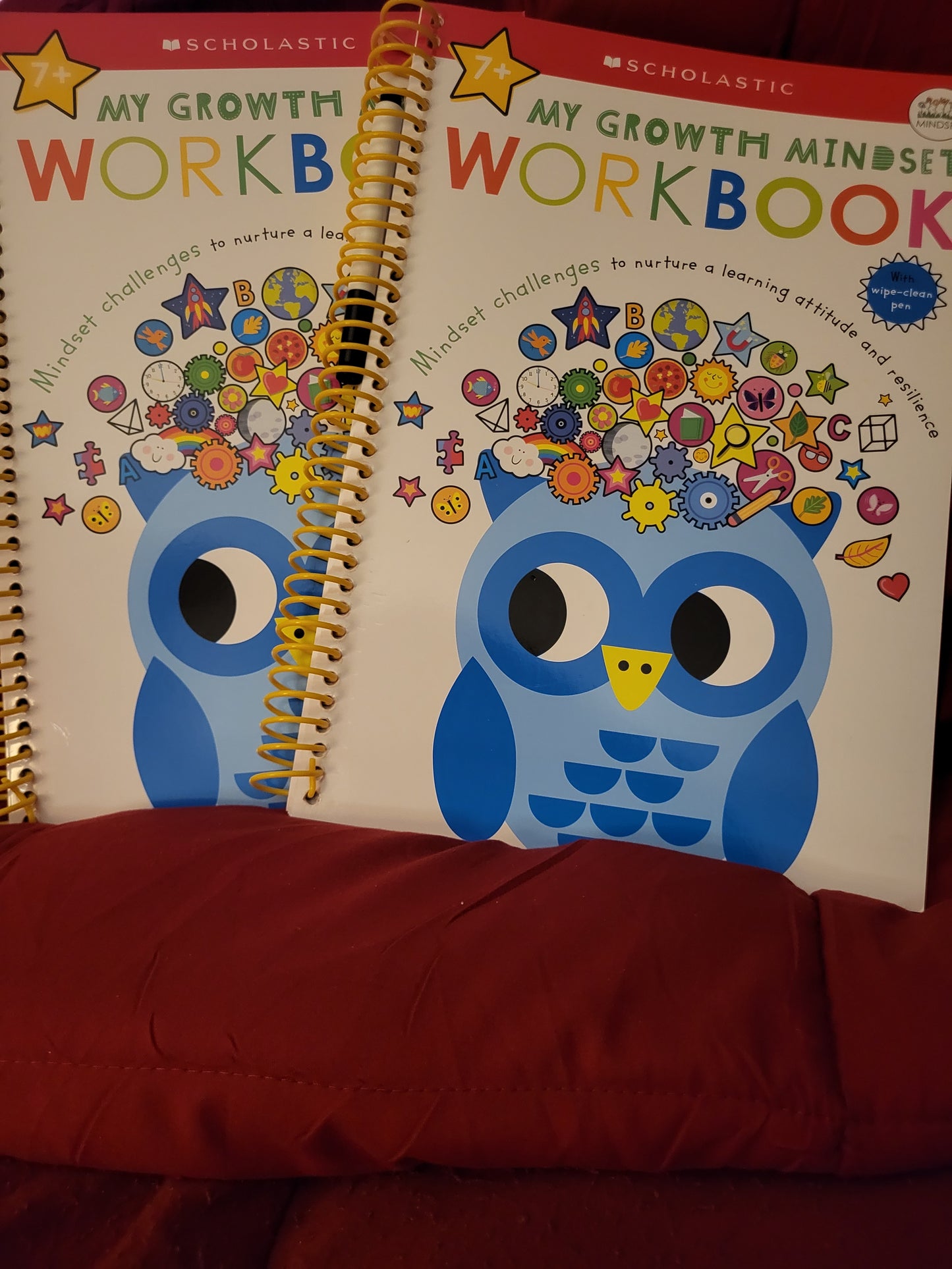 Scholastic Workbook Age 7+