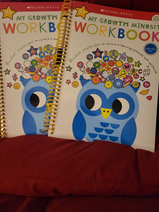 Scholastic Workbook Age 7+