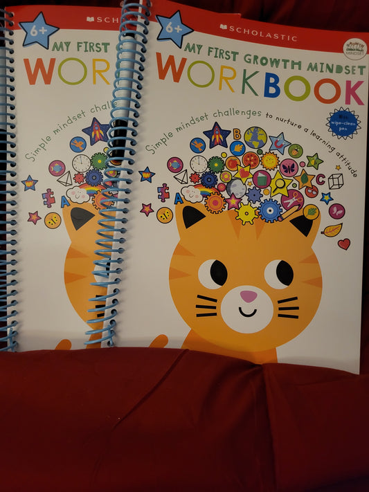 Scholastic Workbook Age 6+