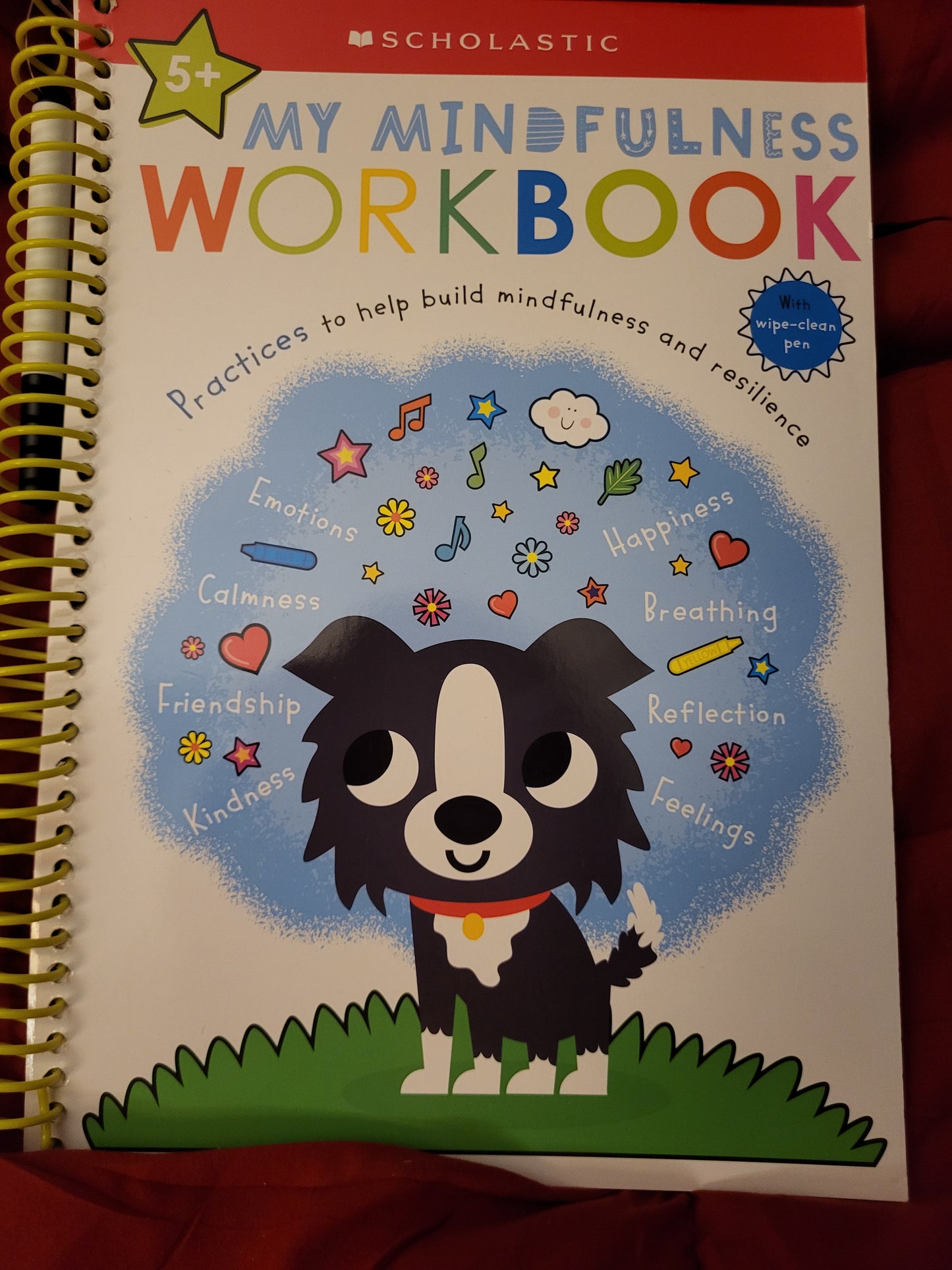 Scholastic Workbook Age 5+