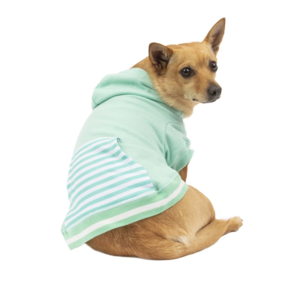 Vibrant Life Green Striped Pull over Pocket Pet Hoodie for Dogs, Small