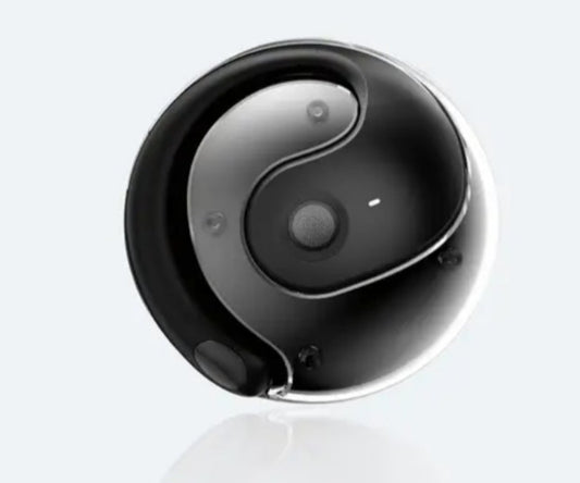 Wireless Translation Earphones