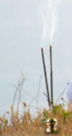 Citronella Incense Sticks (20 sticks)