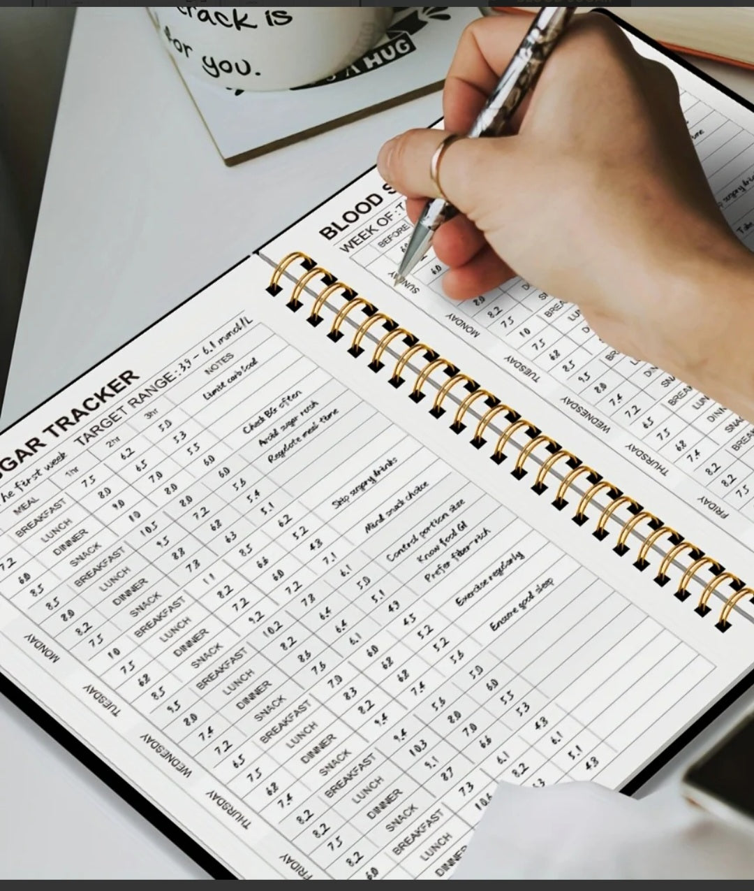 Blood Sugar Log Book