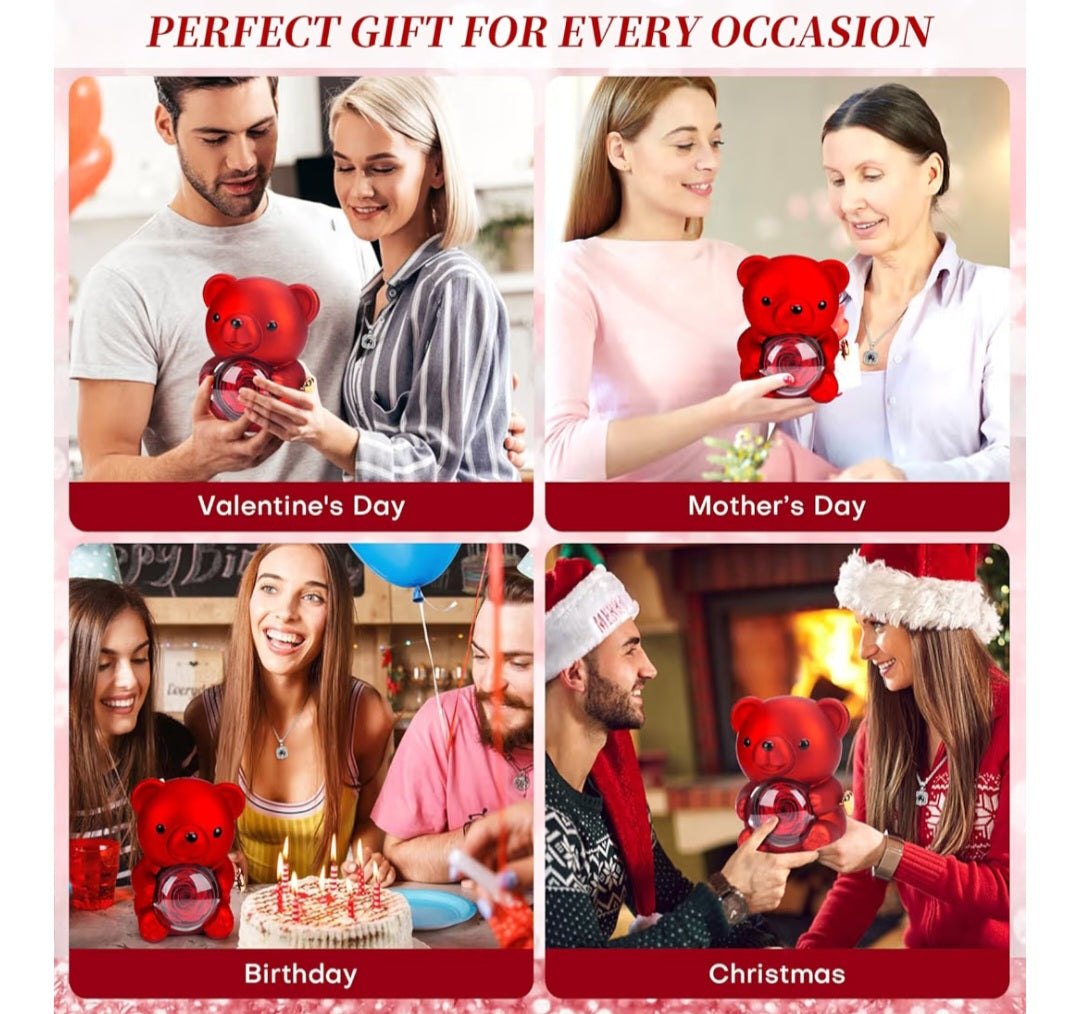 Teddy Bear with Preserved Real Rose and Heart Necklace