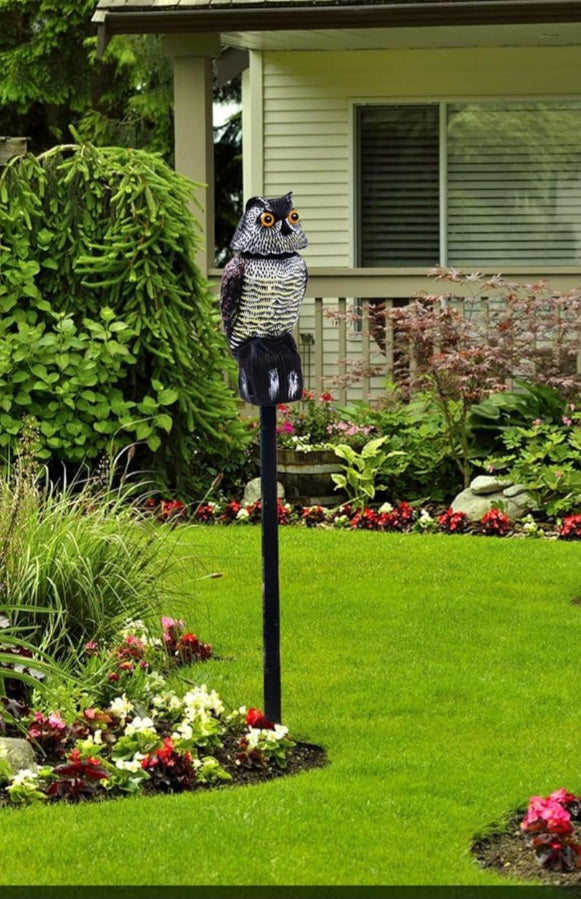 Hedoc Fake Owl Decoy to Scare Birds Away(15 inch) Rotating Head Sculptures