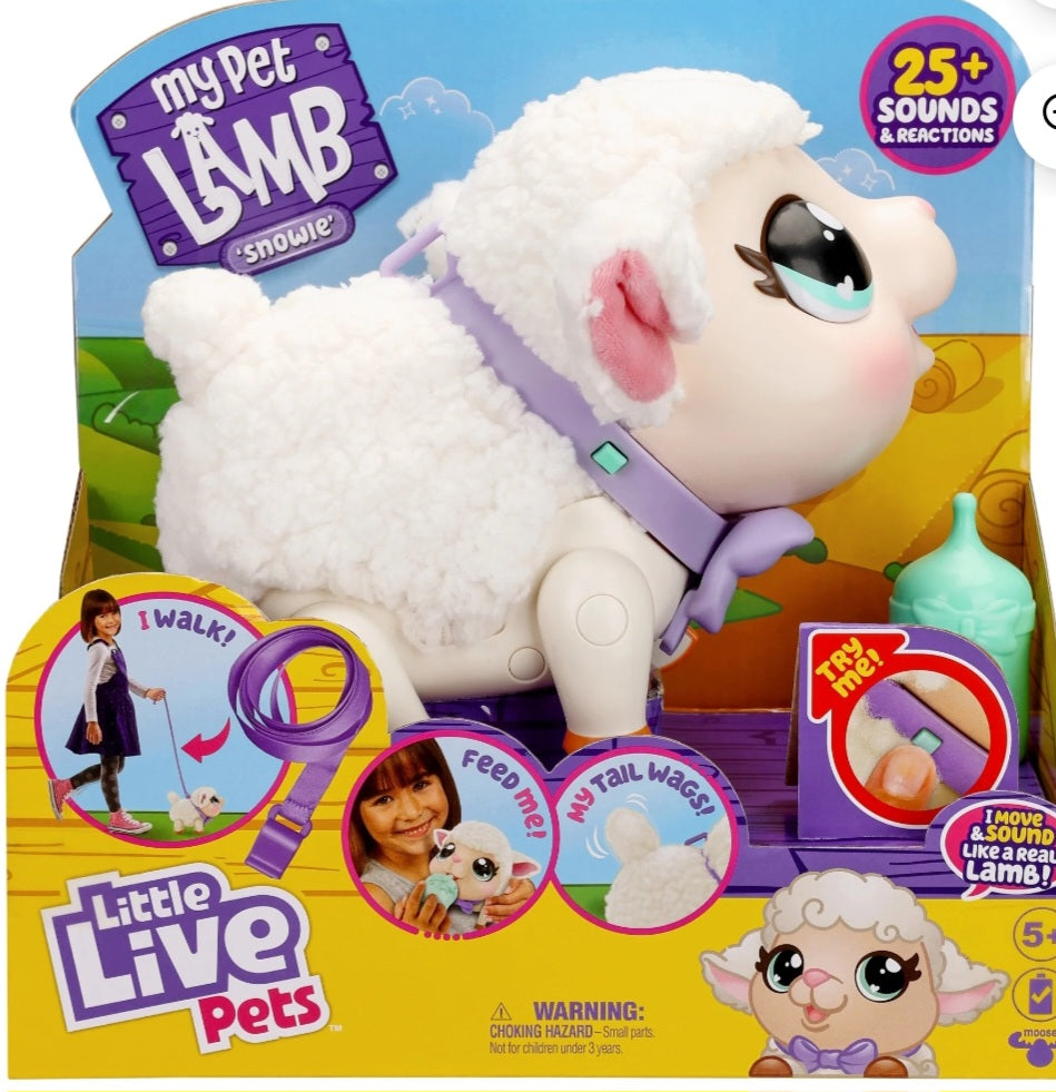 My Pet Lamb Snowie