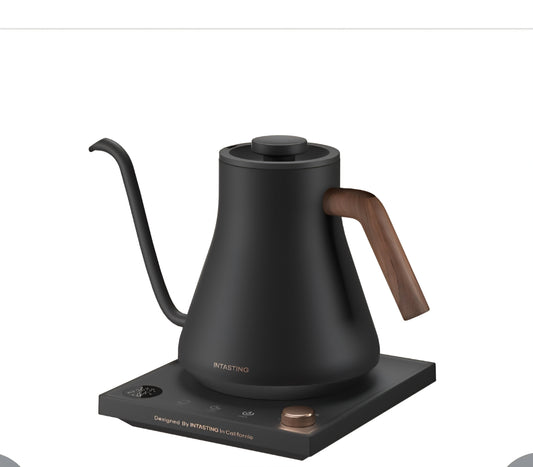 -001 NEW ITEM -'Gooseneck Electric Kettle treasure